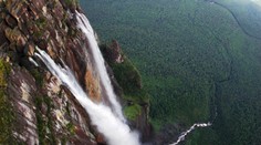 OSN vyzvala na zachovanie všetkých foriem života na Zemi