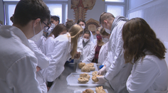 Termín na podávanie žiadostí o štipendium sa posunul. Najšikovnejší dostanú mesačne 300 eur