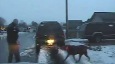 Policajt zastrelil rodine psa počas oslavy narodenín