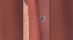 VIDEO: Slovákom sa do domov húfne tlačia lienky. Odborník vysvetlil, prečo to robia