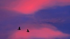 Rok 2016 bude zrejme najteplejším v histórii: Toto všetko spôsobil na planéte