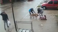 VIDEO: Hororový útok pitbulla. Dievčaťu (7) takmer odtrhol nohu, nepustil ju ani po kopancoch