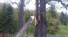 Padajúce stromy ničia autá aj domy. Drevený kríž však ostal stáť