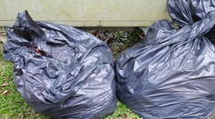 VIDEO: Kuriózna krádež, na ktorej sa zasmial aj okradnutý. Zlodej predstieral, že je vrece odpadkov