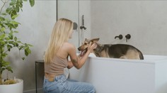 Domáci miláčikovia sa stávajú luxusom. Náklady lámu rekordy a lepšie to nebude, hovorí expert