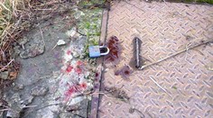 Tragédia v Palárikove! Zabil krčmárku Janku (†42) a potom skočil pod vlak