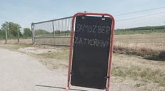 Ľudia stáli v radoch, no prišlo veľké sklamanie. Samozber jahôd sa skončil po jednom dni