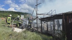 Chovateľ za pár minút prišiel o všetko, okrasné vtáky mu zhoreli pred očami