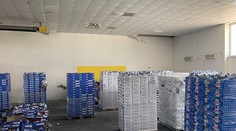 Netradičná krádež. Mozzarella za 95-tisíc eur namiesto Francúzska skončila v obci Dolný Štál