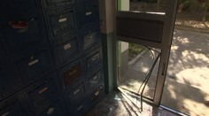 Na bratislavskom sídlisku vystrájal diviak. Narobil poriadnu spúšť