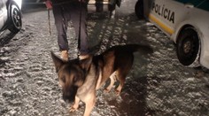 Bez vodičáku, s 5 promile ukradli psov: Polícia preveruje, či mali ísť na konzumáciu