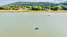 FOTO: Auto skončilo v Domaši, je za tým zrejme banálna chyba