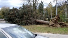 Víchrica Roxana udrie onedlho na západe Slovenska. V Česku vietor prevrátil autobus