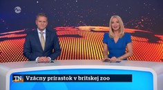 Vzácny prírastok v britskej zoo