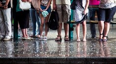 Nóri ovládli počasie. Ich predpovede sledujú milióny ľudí