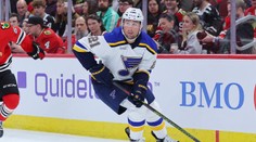 Na Slovensko prichádza hráč s bohatými skúsenosťami z NHL. Nové Zámky posilnil skúsený zámorský útočník