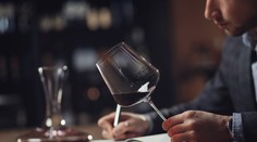 Prestížnu súťaž ovládlo víno, ktoré si môžu dovoliť aj bezdomovci. Zlato mu udelili všetci porotcovia