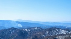 Požiar lesného porastu v Čremošnom sa hasičom podarilo úplne zlikvidovať