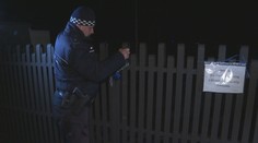 Na cintorín v Spišskej Novej Vsi sa zatúlal medveď. Zisťovali sme, prečo sa zobudil zo zimného spánku