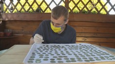 Čech našiel na záhrade poklad za takmer 30-tisíc eur. Na nálezné čakal dva roky, jeho výška ho sklamala