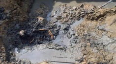 Policajti už identifikovali obete mafiánskych popráv