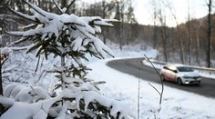 Na Slovensko prišlo výrazné oteplenie. Meteorológovia odhalili, či nás čakajú Vianoce bez snehu