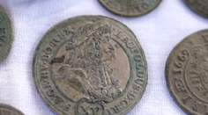 Čech najskôr dostal za poklad nájdený na dvore smiešnu odmenu, úrady mu ju napokon navýšili