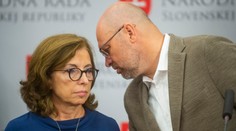 Materiál na odvolanie Matoviča môže byť hotový budúci týždeň, vyhlásila Anna Zemanová zo SaS