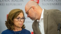 Materiál na odvolanie Matoviča môže byť hotový budúci týždeň, vyhlásila Anna Zemanová zo SaS