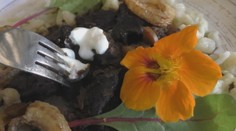 O mäso z rujných jeleňov, ktoré by u nás nedali ani psovi, sa zahraniční priekupníci bijú