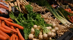 Posilňujú imunitu, chránia srdce aj mozog. Tieto potraviny sa oplatí zaradiť do jedálnička