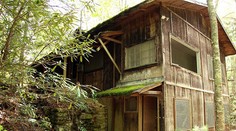 Ako z hororu: Turista objavil opustené mesto v lesoch Tennessee