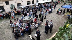 Posledná lajtra – silný emocionálny zážitok na Modranskom vinobraní