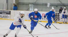 Olympiáda nebude, Rakúsko rozdrvilo naše hokejistky. Zúčastnili sme sa, skonštatoval tréner