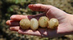 Počasie sa nezbláznilo. Slovensko len zasiahol neobvyklý úkaz