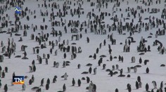 Boj o život na Antarktíde