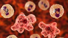 Smrtiaca vodná améba zaútočila na ďalšie dieťa. Osudným sa mu stalo kúpanie v jazere