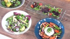 Španielsky vtáčik v 21. storočí