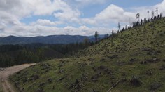 Obyvateľom malej obce pri Slovenskom raji zmizol takmer celý les