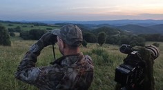 Strach z medveďov je stále horúca téma. Poďte sa s nami pozrieť do epicentra medvedej populácie