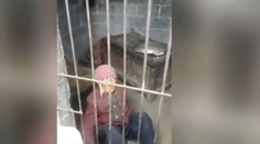 Syn zavrel 92-ročnú mamu do klietky. Takto žila dlhé roky