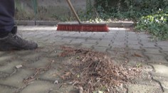 Štát momentálne nemá alternatívu. Projekty pre dlhodobo nezamestnaných majú prestávku