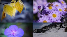 Chcete zažiť štyri ročné obdobia za deň? Tak choďte do Tatier