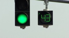 Najskôr sa ich vodiči báli a teraz je záhada vysvetlená. Stále je to na Slovensku rarita