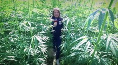 Nález, ktorý vyráža dych. V Poprade objavili pole plné konope