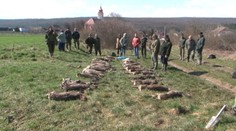 Masaker v lese. Poľovníkov čakal najhorší výjazd do terénu