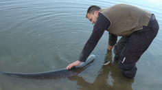 Rybárovi sa zastavilo srdce. Z vodnej nádrže vytiahol obra