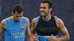 Chelsea ulovila Pedra za 29 miliónov eur