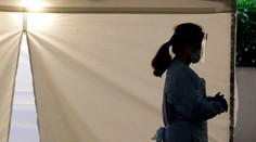 Tigrica v newyorskej zoo mala pozitívny test na koronavírus