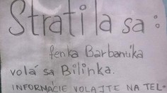 V Bratislave sa hľadá pes: Na stĺpe sa objavil originálny plagát